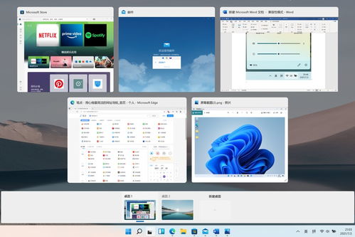 突破硬件藩篱 详解Windows 11在低配电脑上的安装技巧与网络技术应对方案