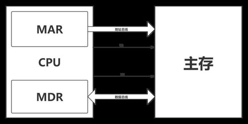 计算机系统协同工作与网络技术开发 从指令执行到应用实现
